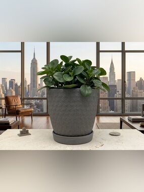 6 Inch Geometric Grey Ceramic Planter with Saucer - Modern Indoor Flower Pot